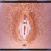 Anatomie de la vulve d'une femme